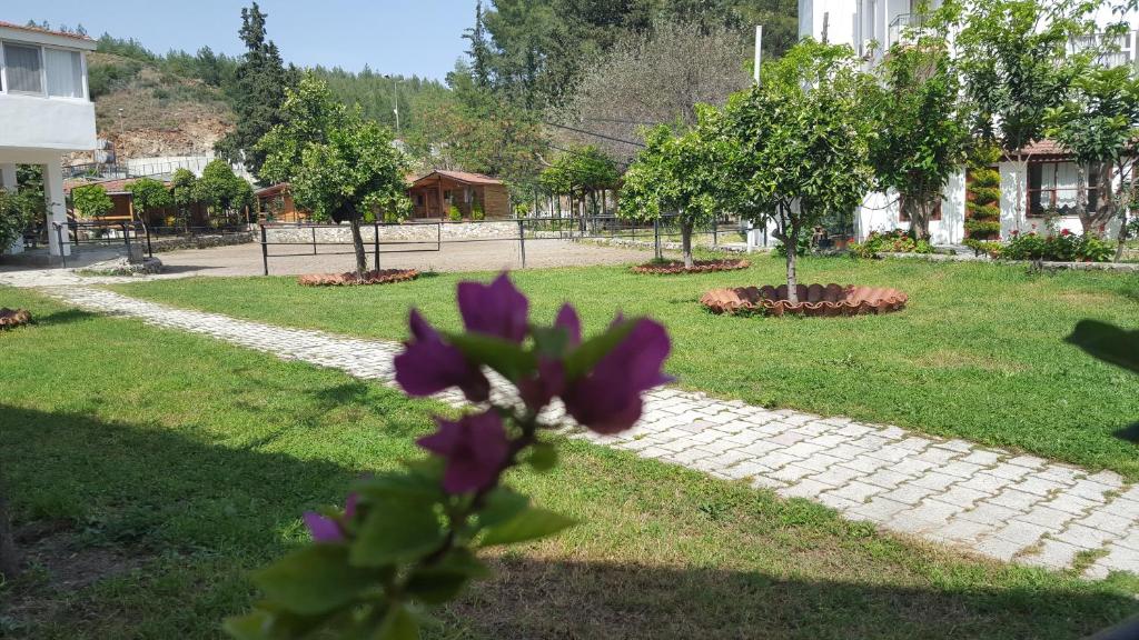 Kép Oranj Ranch Hotel szállásáról Kemerben a galériában