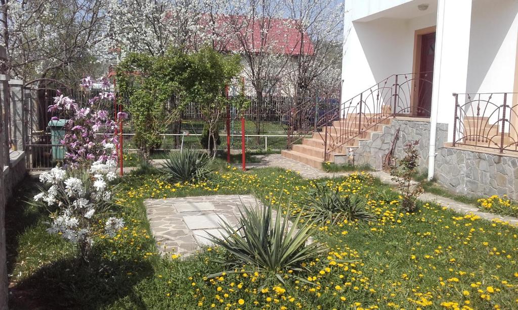 a garden in front of a house with flowers at Lycorn in Cornu de Jos