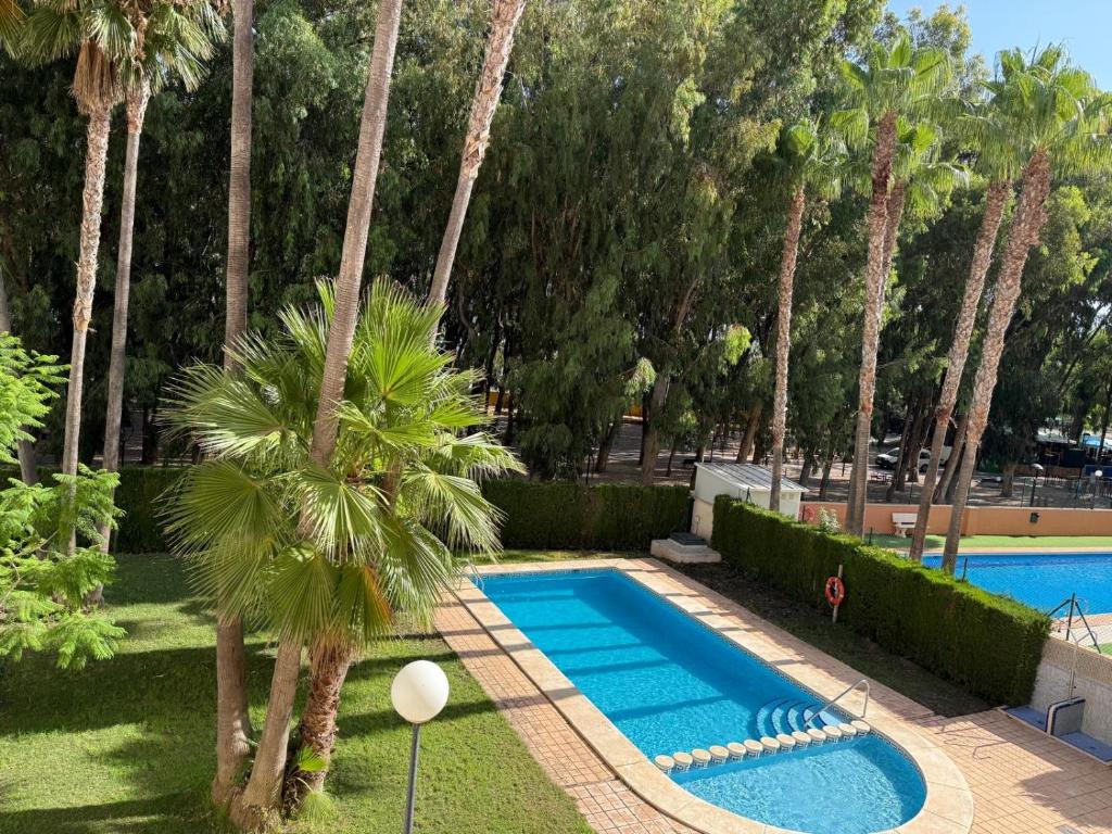 a swimming pool with palm trees in a park at Playa Albir Apartments in Albir