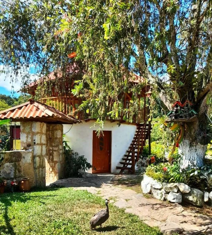 a bird standing in front of a house at Cabaña Orquidea Campestre in Fusagasuga