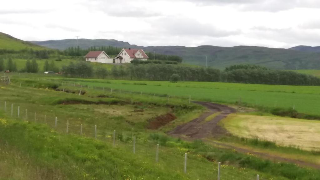 Příroda nedaleko prázdninového domu