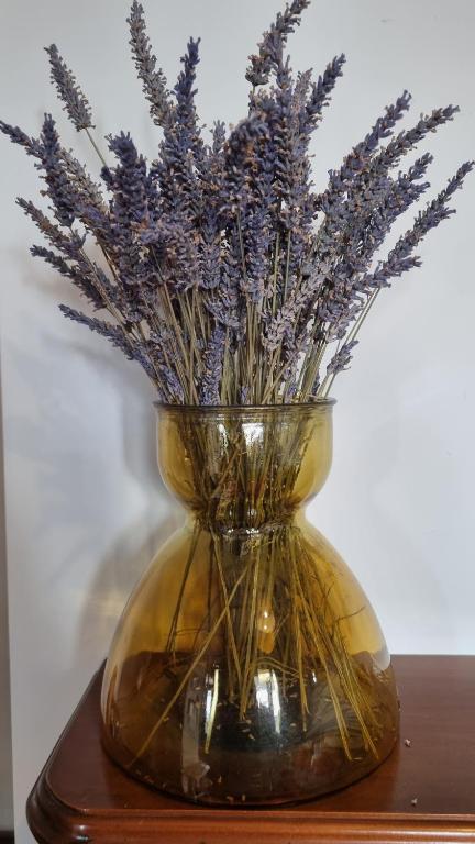 Villa Charm on Claudelands - Resim 25