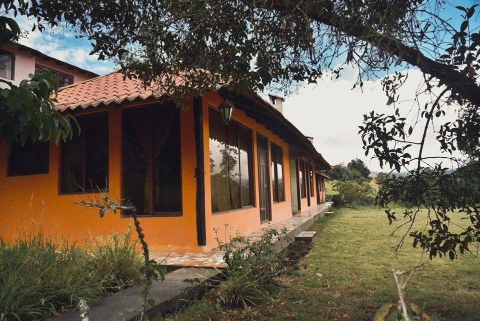 una casa con una naranja en un campo en Las Orquídeas Runtun, en Baños