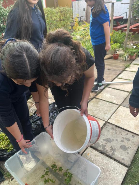 a group of women pouring water into a bucket at Pensión Hospital in Maipo
