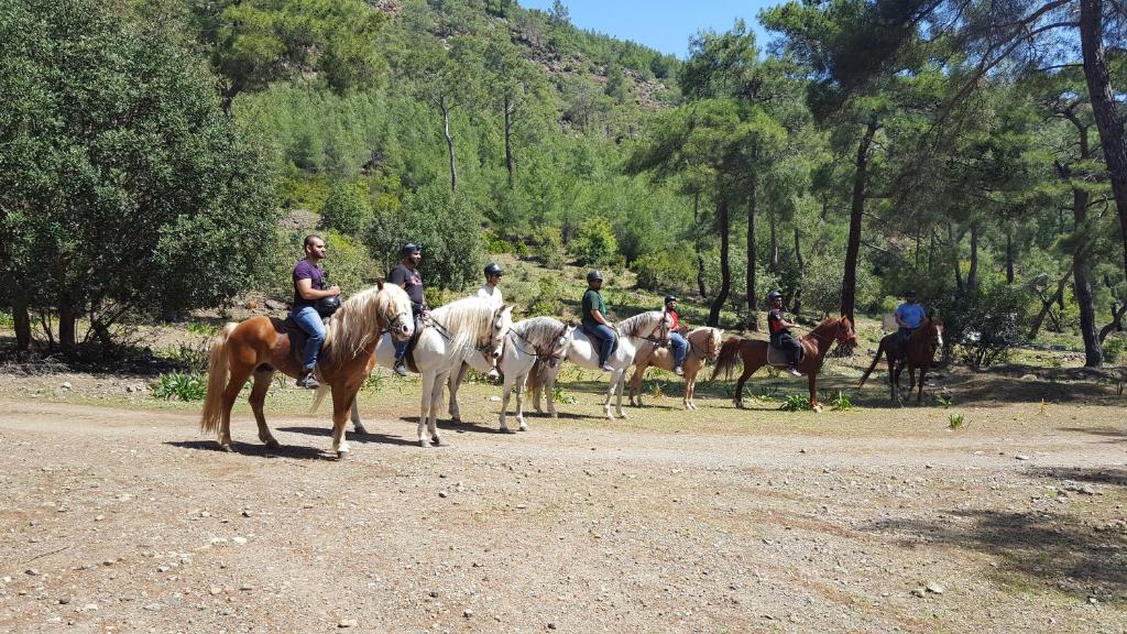 Kép Oranj Ranch Hotel szállásáról Kemerben a galériában