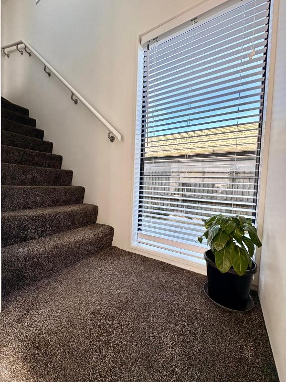 Handy Riccarton New Home Walk to Westfield, Tower Junction & Close to Hagley Park - Resim 10