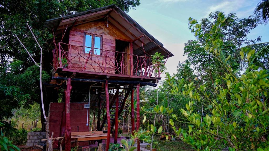 a tree house in the middle of a forest at Farming Tree House in Sigiriya