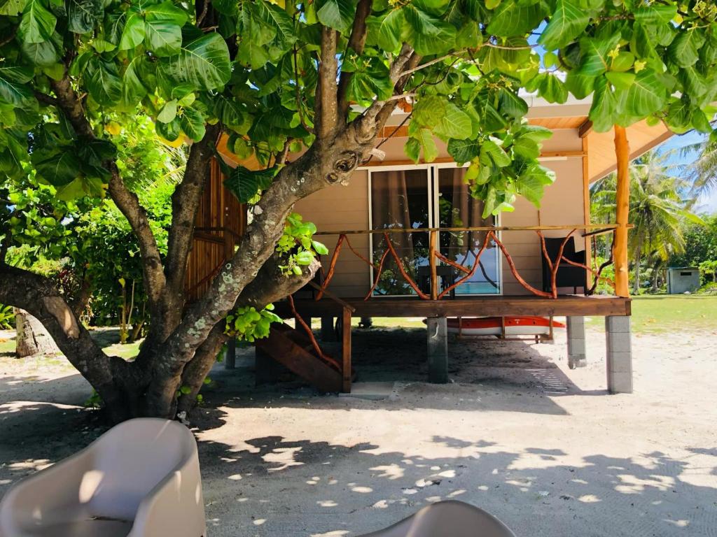 Tiahani Lodge, Maupiti - photo 5 - Maupiti, Polynésie