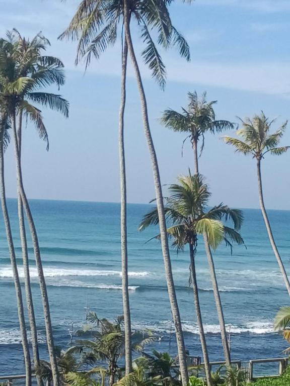 a view of the beach and palm trees at ABR Ahangama Beach Resort in Ahangama