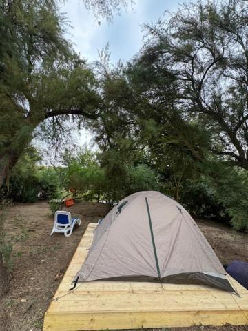 CAMPING ANIMAL KING - 帐篷