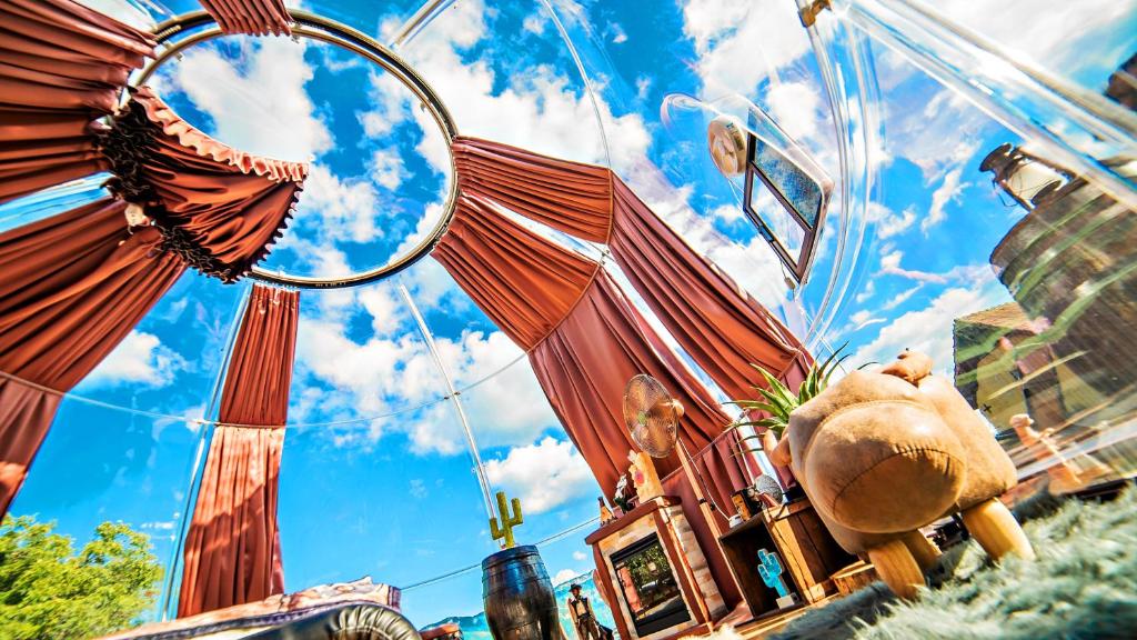 Bulle Texas - immagine 3