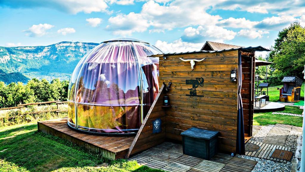 Bulle Texas - immagine 1