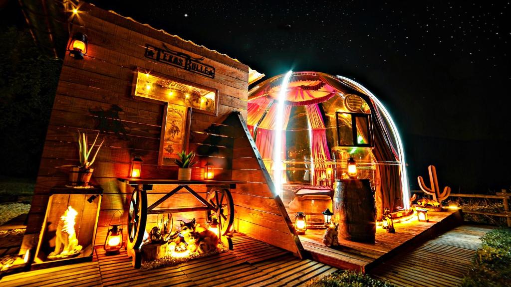 Bulle Texas - immagine 2