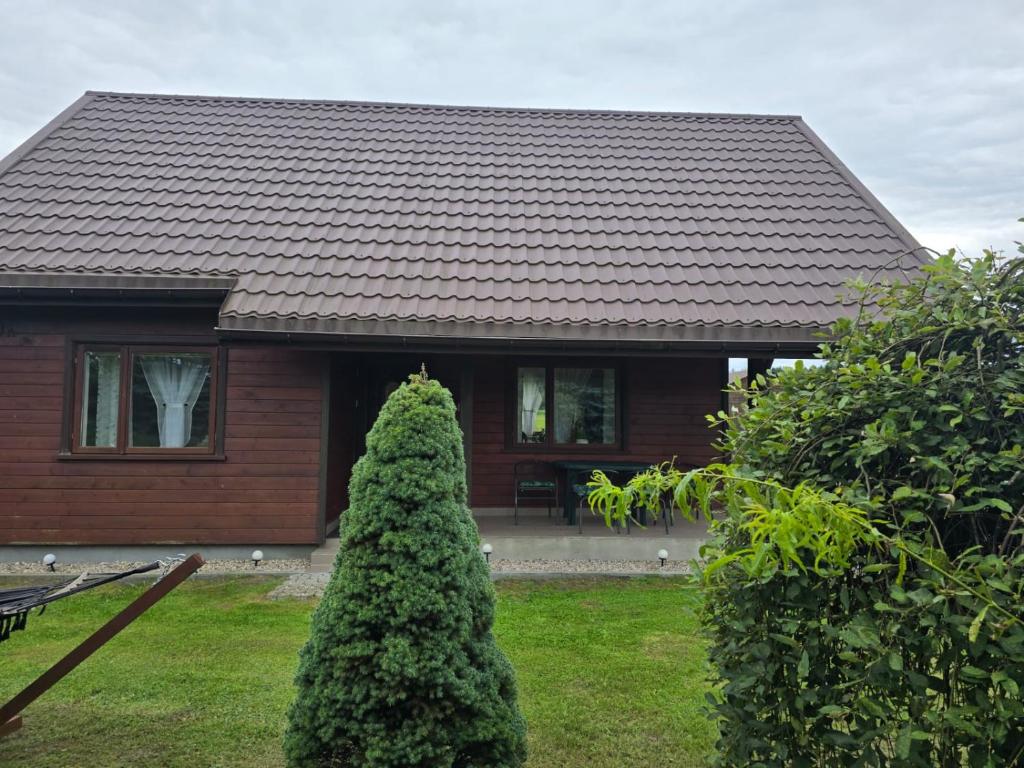 a house with a christmas tree in front of it at Domek na skraju lasu in Płaska