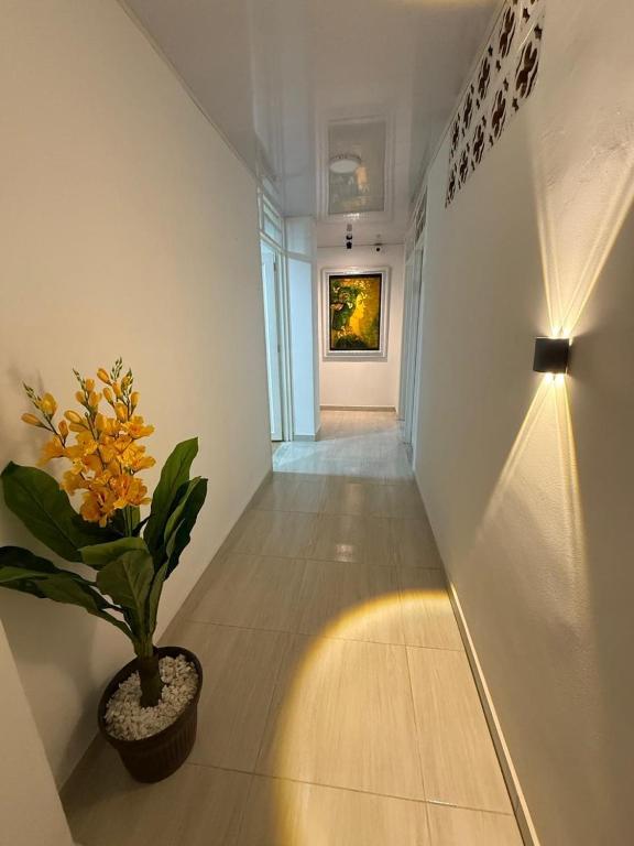 a hallway with a potted plant and a painting on the wall at Hospedarte Cali Sur in Cali