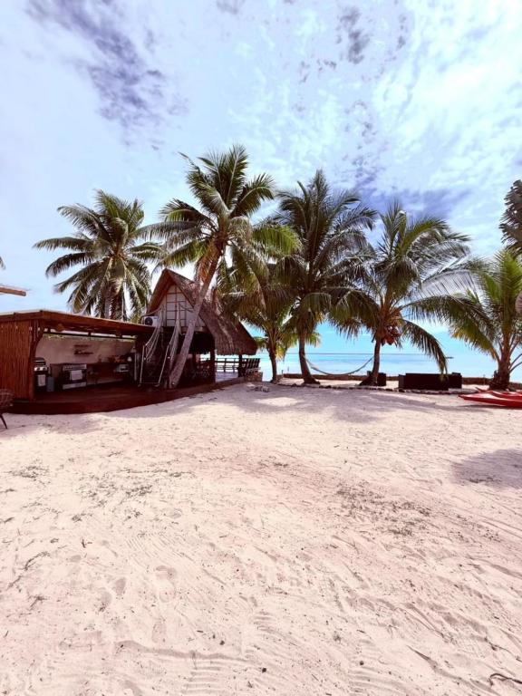 GAIA BEACH AND LAGOON - At Tiahura place - photo 3 - Moorea, Polynésie