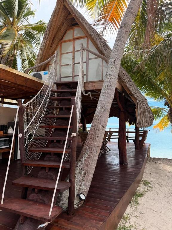 GAIA BEACH AND LAGOON - At Tiahura place - photo 12 - Moorea, Polynésie