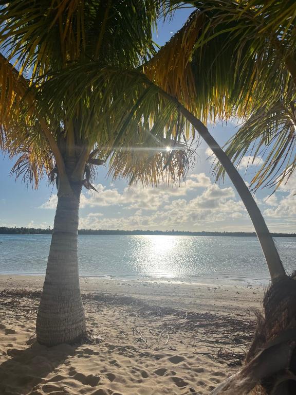 Hei Maurua, Te-Fare-Arii - photo 9 - Maupiti, Polynésie