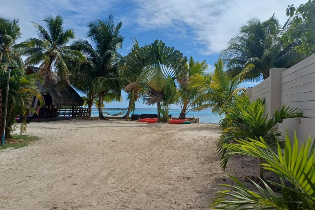 GAIA BEACH AND LAGOON - At Tiahura place - photo 4 - Moorea, Polynésie