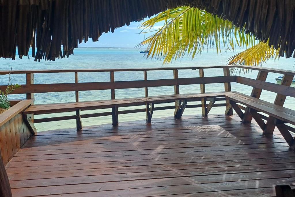 GAIA BEACH AND LAGOON - At Tiahura place - photo 10 - Moorea, Polynésie