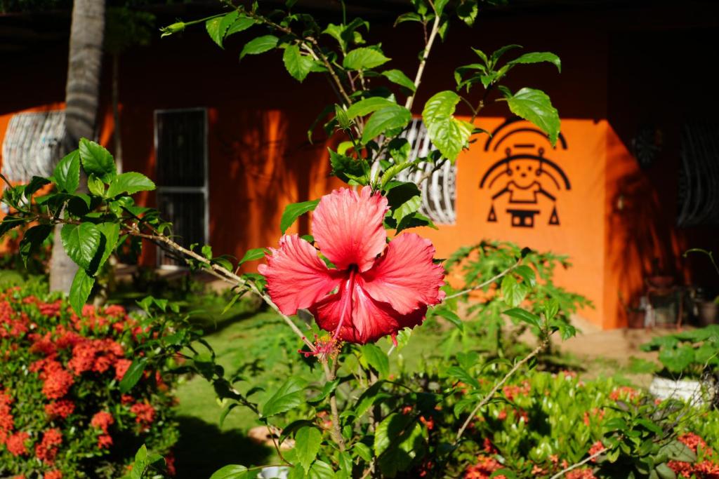 Chakana Yoga Homestayにある庭