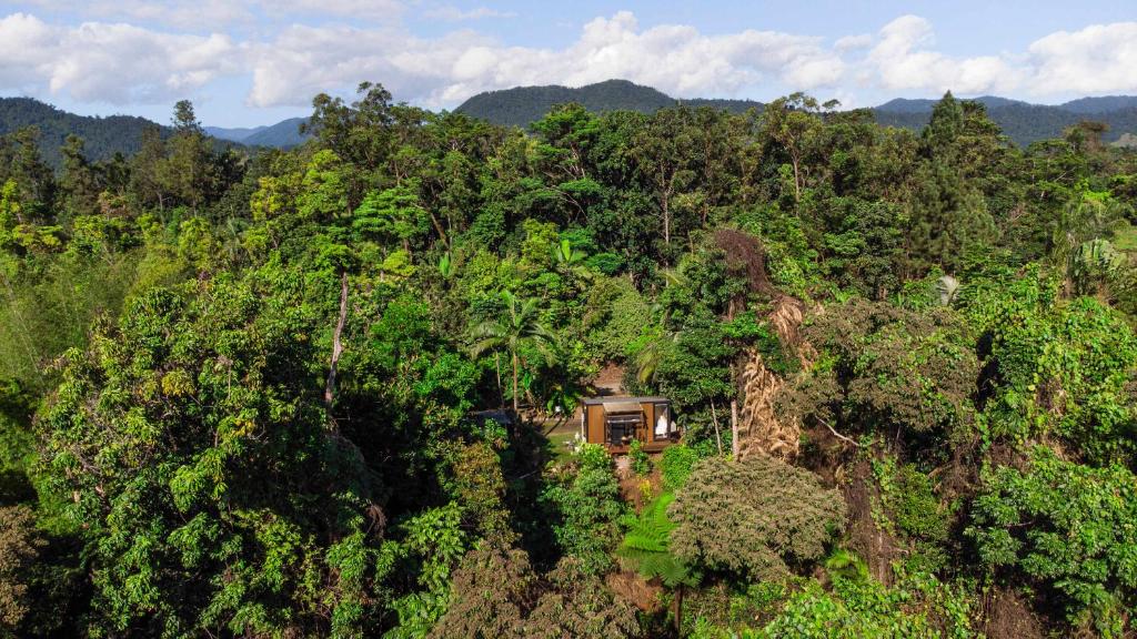 an aerial view of a house in the middle of a forest at Magic Mena Rainforest Retreat by Tiny Away in Mena Creek
