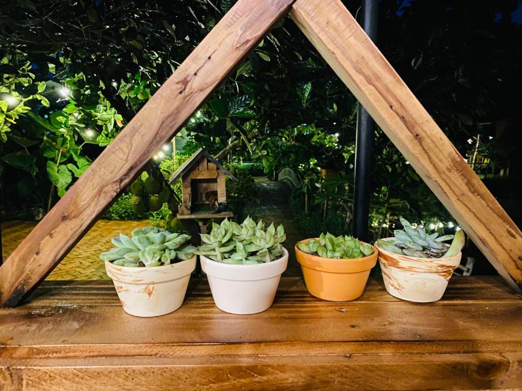 Peaceful refuge homestay - 5