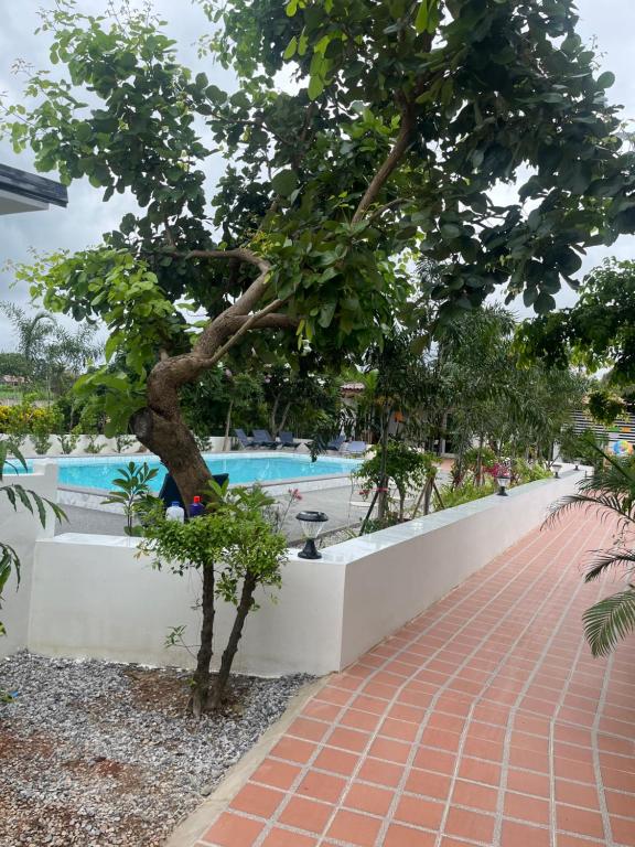 a tree on a brick walkway next to a swimming pool at AJ Pizza and Steakhouse in Ban Khai Nun
