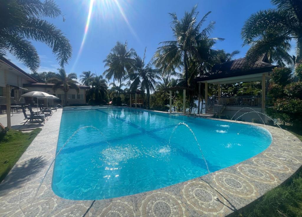 a large blue swimming pool in a yard with palm trees at Reef Waters Resort in Pilar