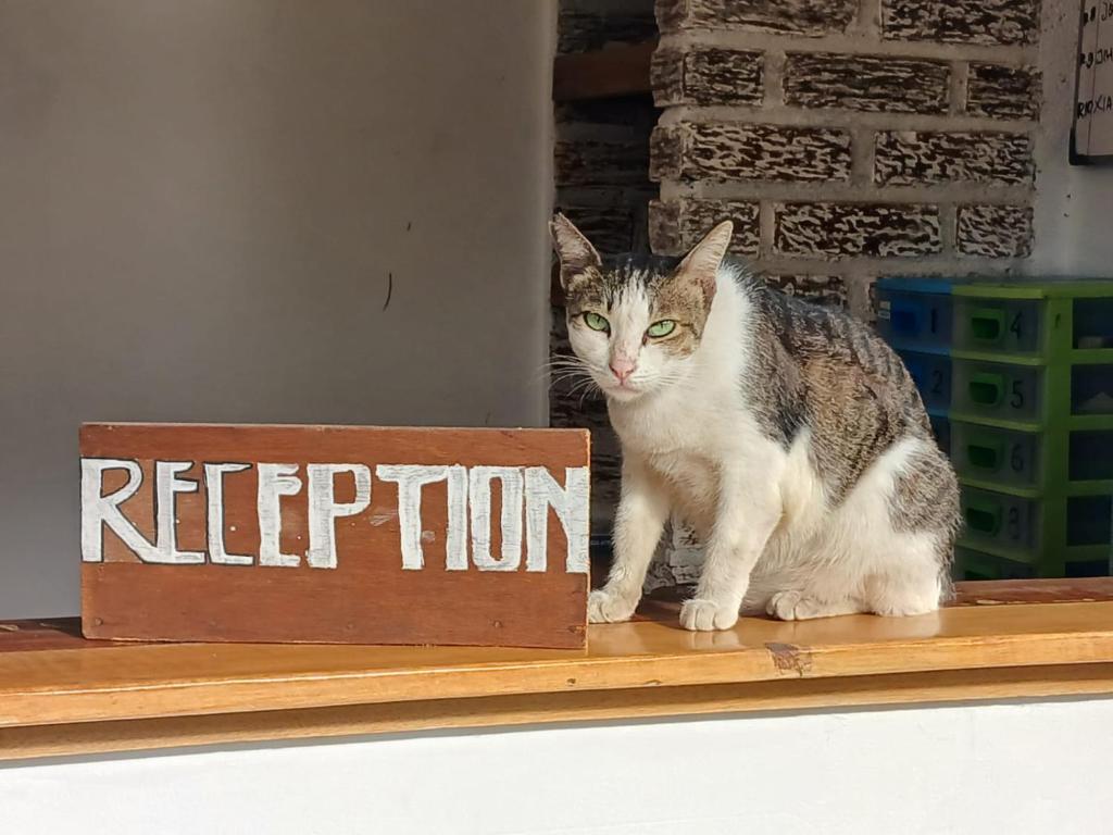 White Coconut Resort - 10