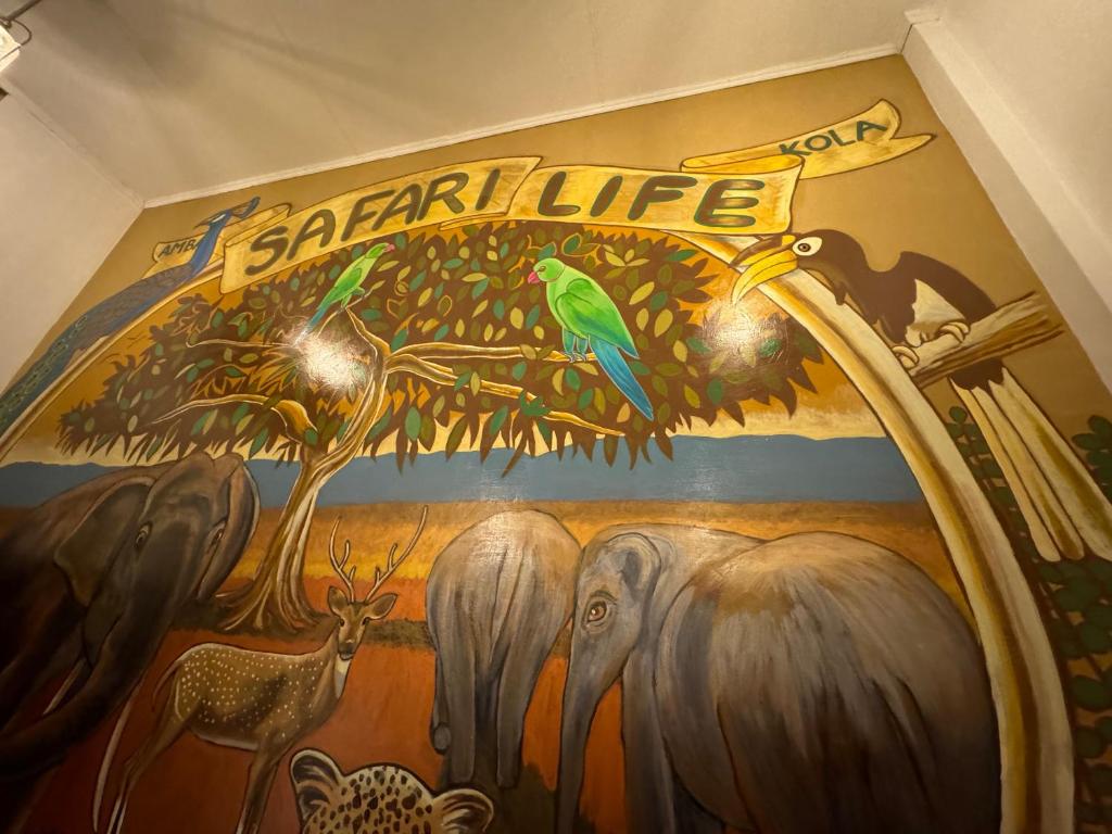 Amba Kola Udawalawa - 7