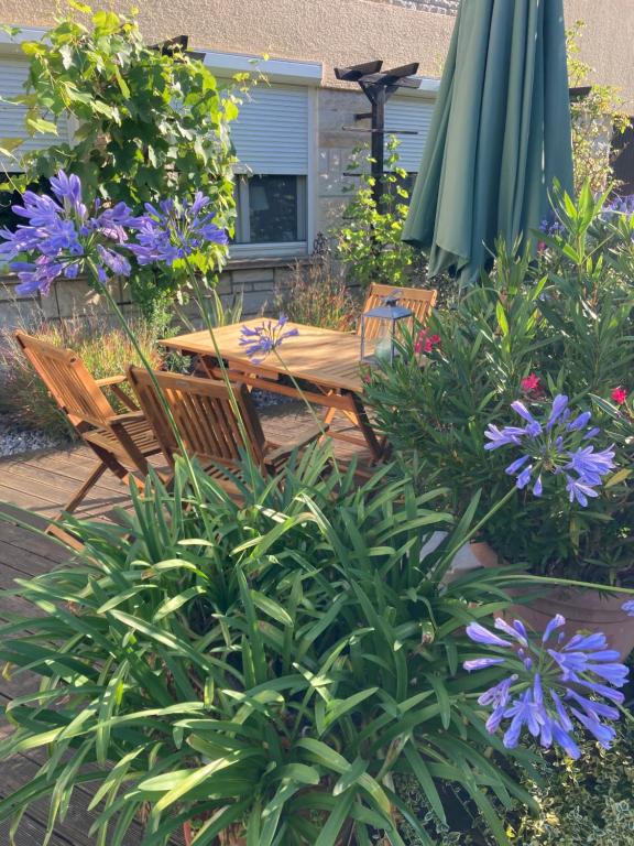 Ferienwohnung Sonja am Weinberg - Appartement Met Uitzicht Op De Tuin