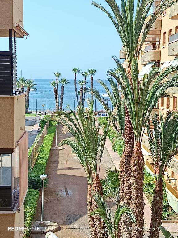 a row of palm trees on a sidewalk near the ocean at Bella ÁGUILAS - Excelente ubicación en Las Delicias, vistas al mar, Wifi y Parking gratis in Águilas