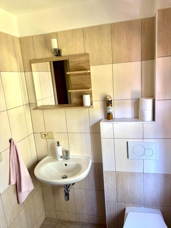 Pension Bystřenka - 4