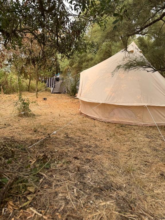CAMPING ANIMAL KING - 帐篷