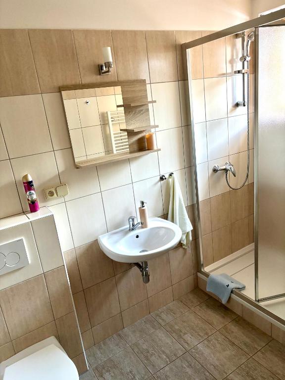 Pension Bystřenka - 17