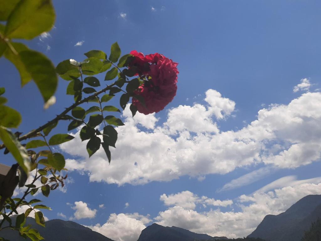 Photo de la galerie de l'établissement La love room des alpes, à Guillestre