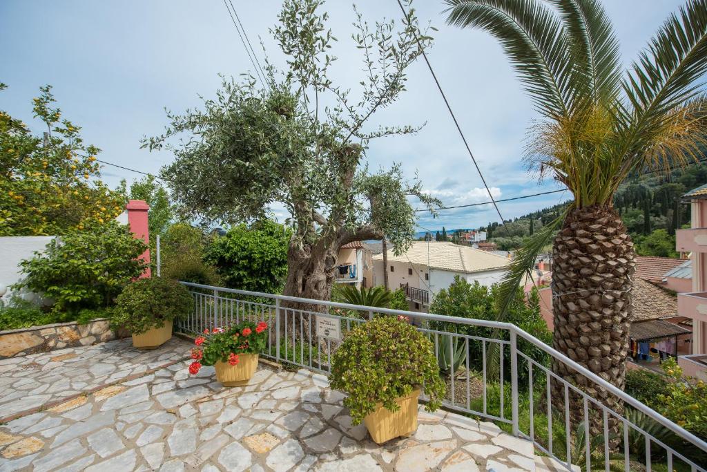 Priroda u blizini apartmana