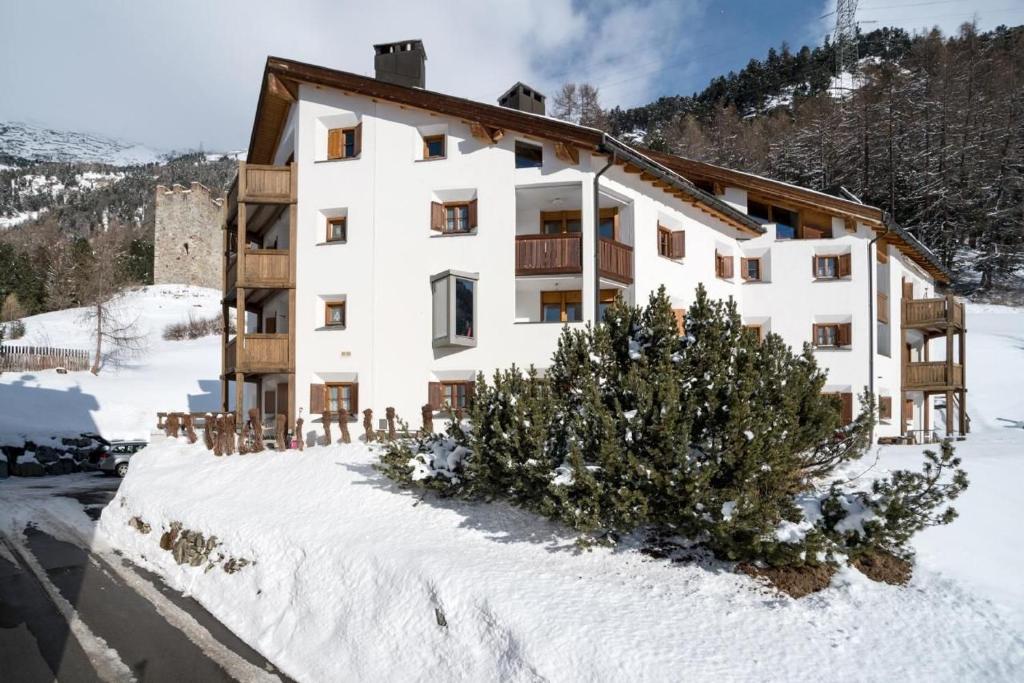 Un edificio con un albero di Natale nella neve di Chesa Aquileja Trüb a Pontresina