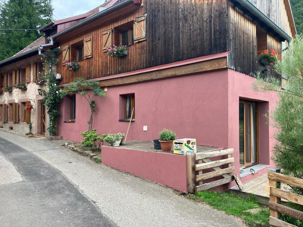Escapade Nature RIBEAUVILLE 6 personnes – photo 20