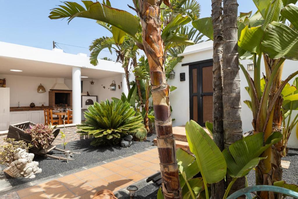 a garden with palm trees and a house at Casa Strelitzia by Escape Home in Nazaret
