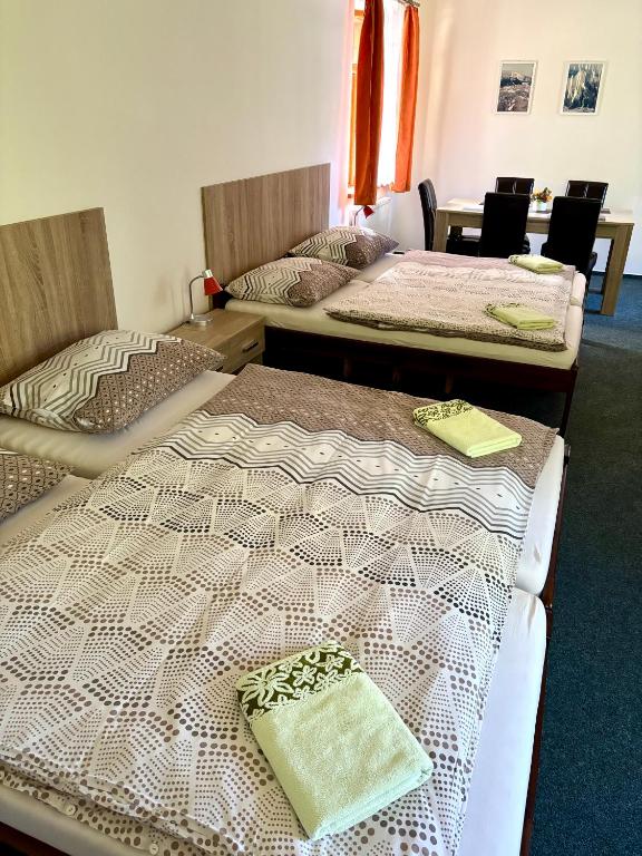 Pension Bystřenka - 7