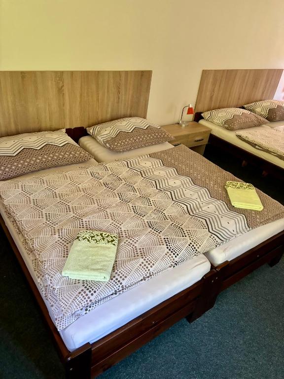 Pension Bystřenka - 8