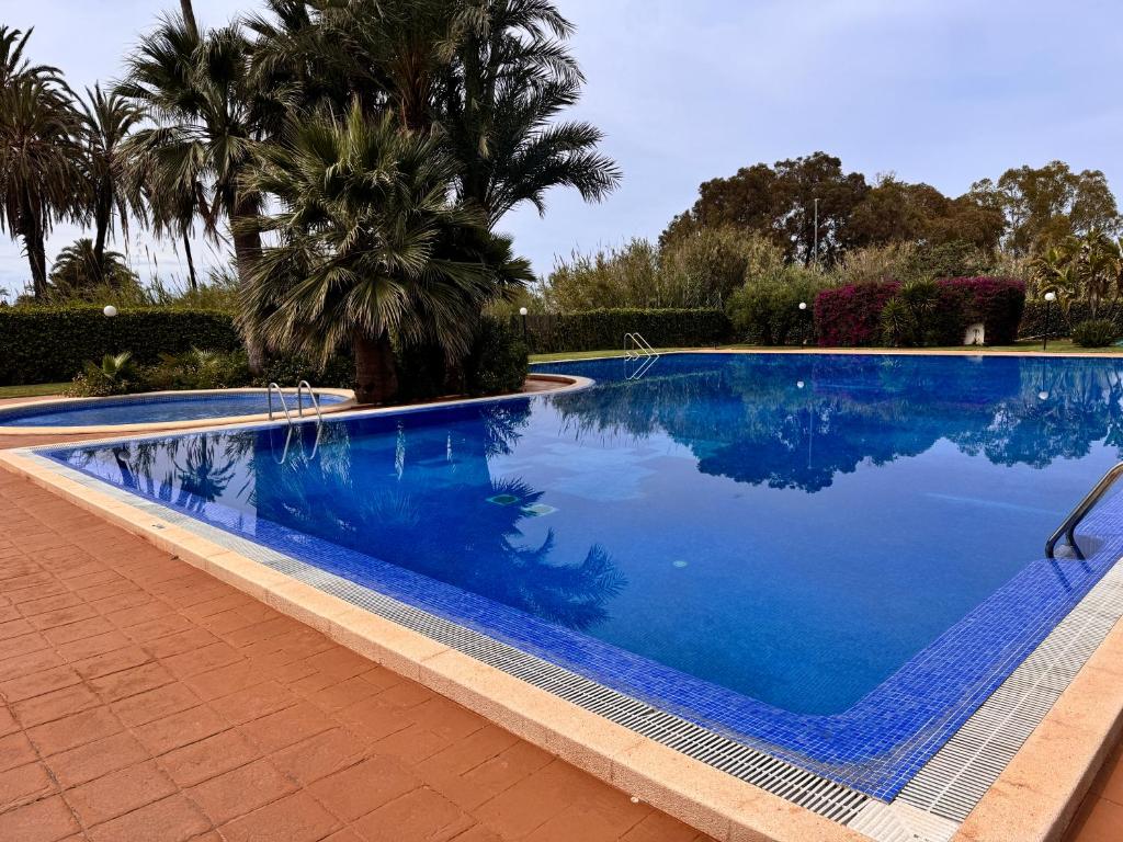 una gran piscina azul con una palmera en Gran apartamento con piscina en Denia, en Denia
