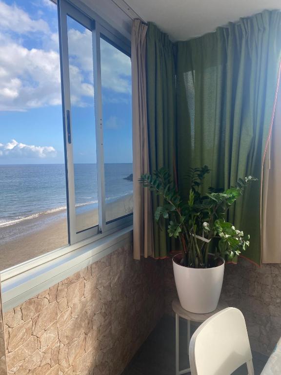 Seaside accommodation in Playa del Aguila