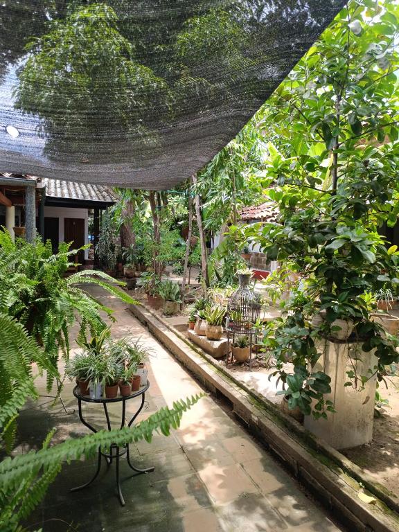 a garden with a bunch of potted plants at Casa de Los Berrios in León