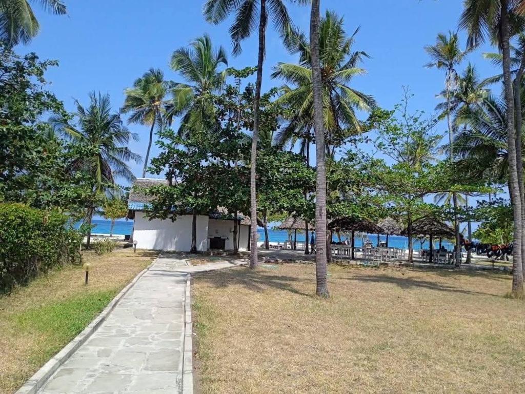 乌昆达LILAC Beachfront 1bedroom Apartment的一条穿过棕榈树和海洋公园的路径