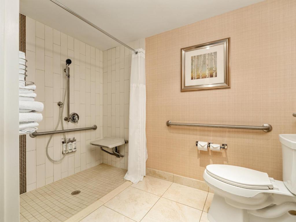 
Double Room - Disability Access/Roll-In Shower
