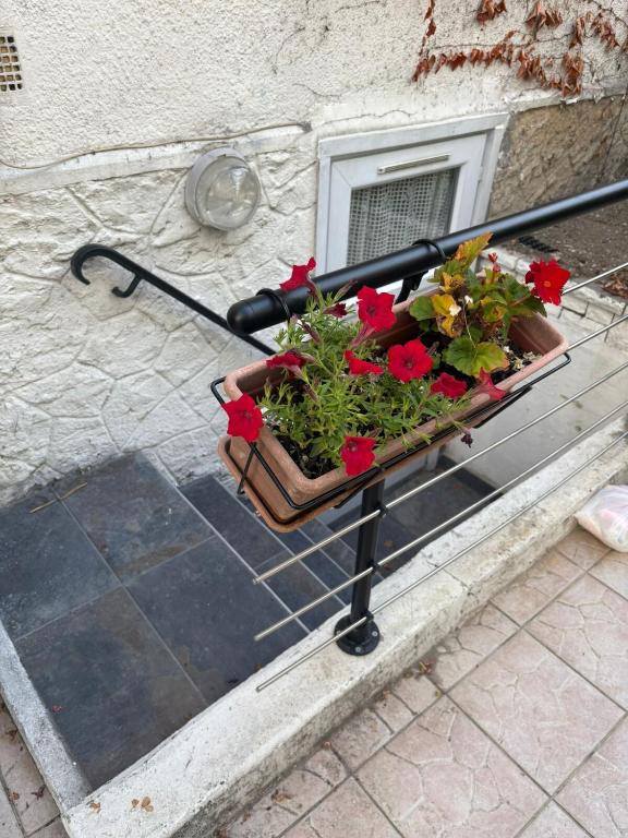 a planter with flowers on a table in front of a window at Cosy New Studio 2 min RER B in Aulnay-sous-Bois