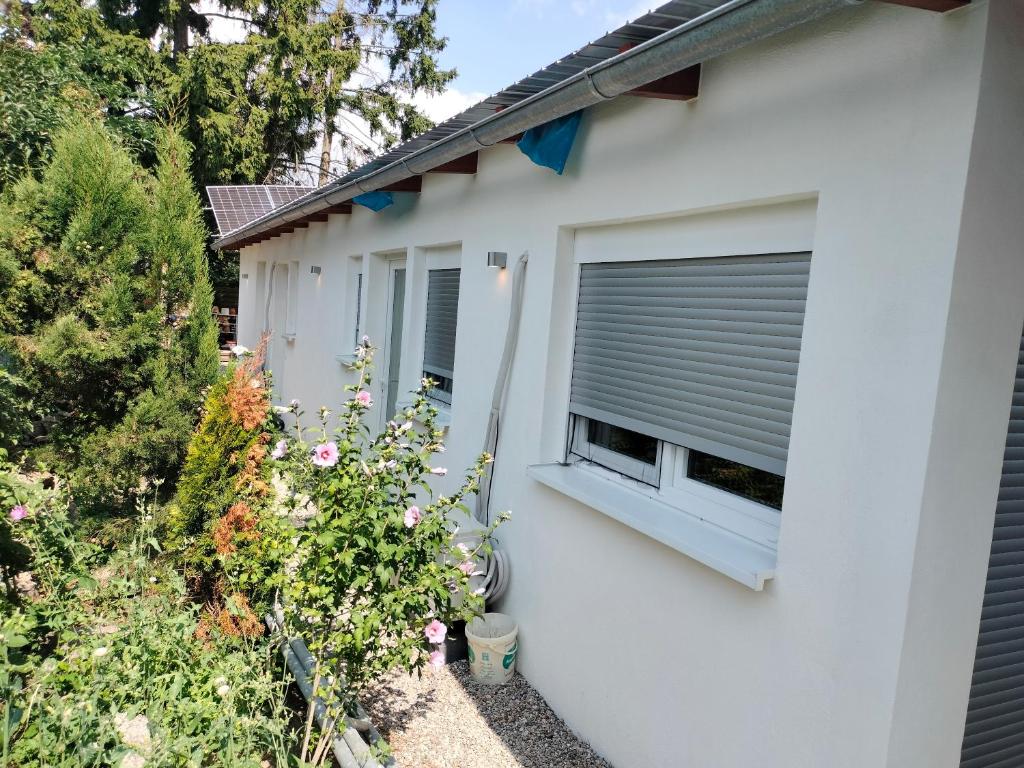 Freygang & Partner GbR - Mietangebote Info - Trebur